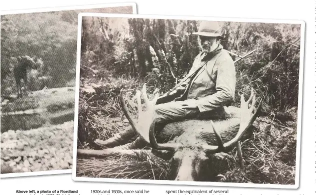  ?? SUPPLED BY KEN TUSTIN ?? Above left, a photo of a Fiordland moose, taken in 1952. Right, famed hunter Eddie Herrick in 1929 with the first bull moose trophy shot in New Zealand.