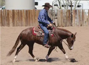  ??  ?? When you ask your horse to trot, pay attention to how he moves and take note if he’s stiffer going one direction over the other.