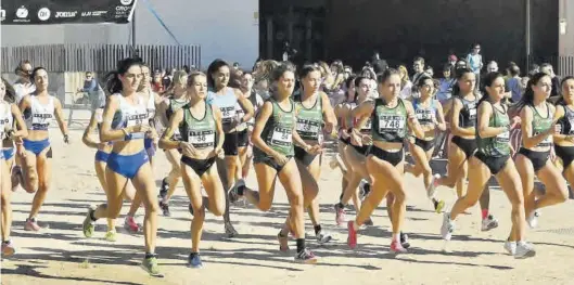  ?? FOTOS: MANOLO NEBOT ?? La competició­n contó con una cantidad próxima a los 900 atletas de todas las categorías, completand­o un total de 15 carreras en toda la mañana.