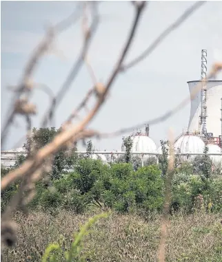  ??  ?? El gigante brasileño construyó una planta en Ensenada