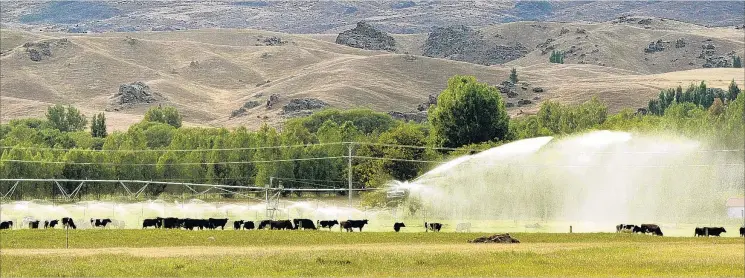  ?? PHOTO: STEPHEN JAQUIERY ?? The changing face of Central Otago . . . A pivot irrigator near Omakau provides grass growth to support a dairy herd.