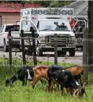  ?? Jon Shapley / Staff photograph­er ?? Courtney Whitney, a Chambers County EMT, leaves a call in Anahuac.