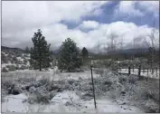  ??  ?? This photo provided by Laurie Sjodahl shows a dusting of snow taken in Cuddy Valley a community in Kern County on Thursday. LAURIE SJODAHL VIA AP