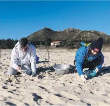  ?? EP ?? Voluntario­s recogiendo pellets, ayer, en un playa gallega.