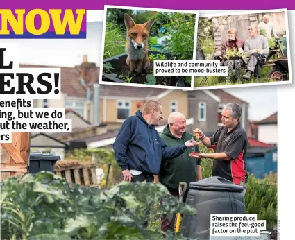  ??  ?? Sharing produce raises the feel-good factor on the plot