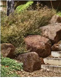  ??  ?? CLOCKWISE FROM LEFT Midgen berry bushes ( Austromyrt­us dulcis) sprawl over basalt boulders. The main bedroom has front-row views with lilly pilly, hairpin banksia, midgen berries and scaevola growing below. A grass tree looks majestic in the mist. The breezeway features stone steppers set into no-mow grass ( Zoysia tenuifolia).
OPPOSITE Unruly kangaroo paw and Baeckea frutescens frame the views of Lake Baroon and north Maleny.