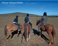  ??  ?? Horse riding in Addo