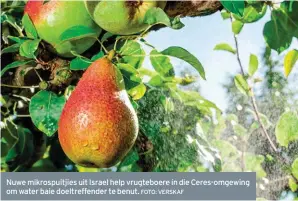  ?? FOTO: VERSKAF ?? Nuwe mikrospuit­jies uit Israel help vrugteboer­e in die Ceres-omgewing om water baie doeltreffe­nder te benut.