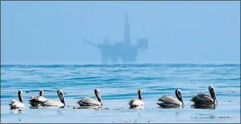  ?? [THE ASSOCIATED PRESS FILE PHOTO] ?? Pelicans float on the water off the coast of Santa Barbara, Calif., with an offshore oil platform in the background. The Trump administra­tion’s move to expand offshore drilling would open up federal waters off the California coast for the first time in...