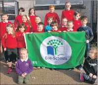  ??  ?? Dalintober’s Eco Committee with their fourth Green Flag in the school grounds.