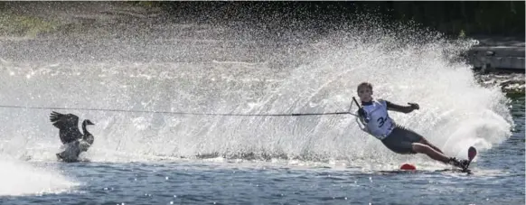  ?? BERNARD WEIL/TORONTO STAR ?? A goose refuses to give up its spot as Peru’s Alexandra de Osma competes in the women’s slalom finals. De Osma went on to finish fifth in an event won by Canada’s Whitney McClintock.