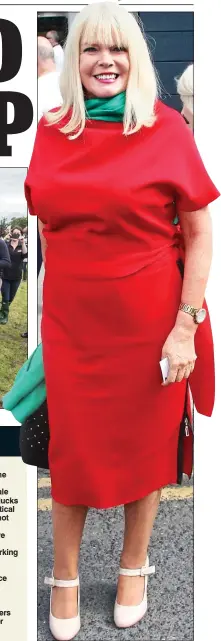  ??  ?? debacle: Mary Mitchell O’Connor outside Croke Park for the match yesterday.