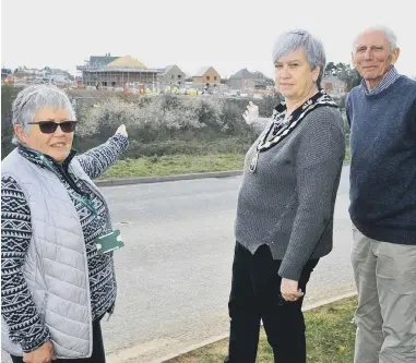  ?? ?? Angmering Parish Council chairman Nikki Hamilton-Street, centre, pictured with vice-chairman Alison Reigate and chairman of theplannin­g committee John Oldfield