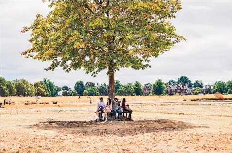  ?? ?? People shelter from the sun under a tree on a parched Wimbledon Common, southwest London