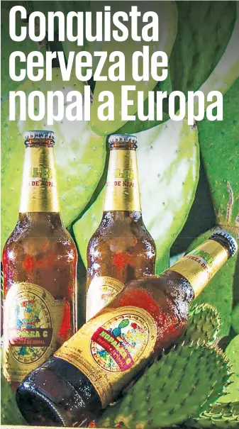  ??  ?? La producción de Nopalea incluye la cooperació­n entre México y República Checa. Personas que probaron la cerveza de nopal dijeron que esperaban que la bebida fuera amarga, “pero en realidad es muy dulce y ligera”.