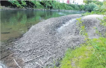  ?? FOTO: PRIVAT ?? Das Treibholz in der Donau in Zwiefalten­dorf macht das Ein- und Aussteigen aus dem Boot schwierig. Am kommenden Montag soll das Material entfernt werden.