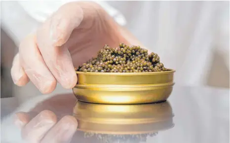  ?? FOTO: DPA ?? Fischrogen – hier Schrencki-Kaviar vom Amur-Stör – stammt mittlerwei­le aus der Zucht, denn der Stör gehört wegen Überfischu­ng zu den extrem bedrohten Tierarten.