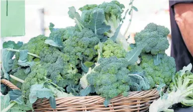 ?? Photo / NZME ?? Broccoli is a cool-season vegetable to plant now.