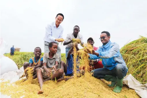  ?? (Photo/IDCPC) ?? The project “Chuanxiang­you”, a demonstrat­ion farm under the cooperatio­n between China and Burundi, has achieved a complete success.
