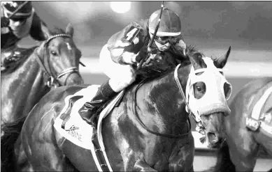  ?? MICHAEL BURNS ?? Aheadbyace­ntury won the Coronation Futurity (above) and was third in the June 9 Plate Trial.