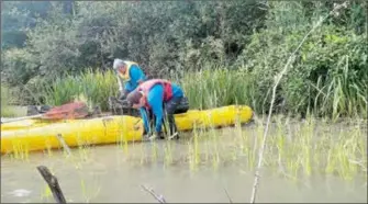  ?? ?? Les agents de l’EDF en pleine plantation