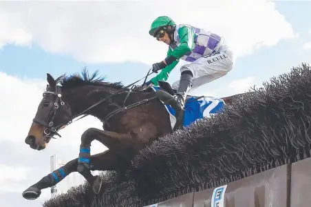  ??  ?? JUST SWELL: Wells ridden by Richard Cully wins the Mosstroope­r Steeplecha­se at Bendigo yesterday. Picture: GETTY IMAGES