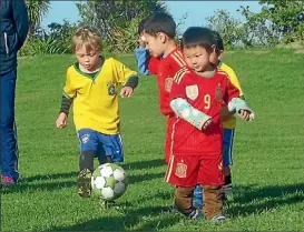  ??  ?? Putting a fenced dog park near the junior football grounds is ignoring users, a football organiser says.