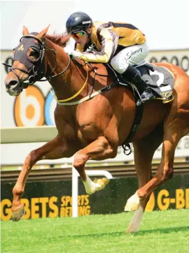  ?? Picture: JC Photograph­ics ?? MUZI’S PICK: The Bosbok, who runs in Race 5 at Turffontei­n today, is Muzi Yeni’s banker in all bets.
