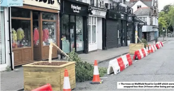  ??  ?? > The trees on Wellfield Road in Cardiff which were snapped less than 24 hours after being put up