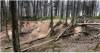  ?? Foto: Carolin Wöhrle ?? In einer der Lehmgruben im Wald kamen bei einem Grubenungl­ück 1844 drei Männer ums Leben. Daran und an die Geschichte der Lehmförder­ung will der Kulturvere­in auch erinnern.