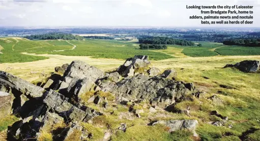  ??  ?? Looking towards the city of Leicester from Bradgate Park, home to adders, palmate newts and noctule bats, as well as herds of deer