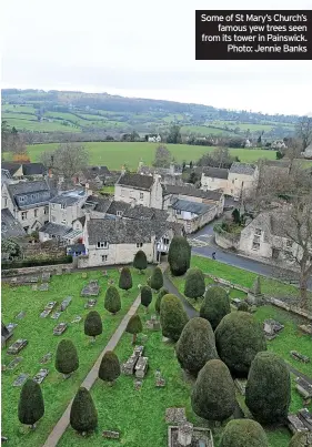  ?? ?? Some of St Mary’s Church’s famous yew trees seen from its tower in Painswick. Photo: Jennie Banks