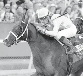  ?? Associated Press ?? CLASSIC EMPIRE is the Kentucky Derby favorite, thanks in a large part to his victory in the Arkansas Derby under jockey Julien Leparoux last month.