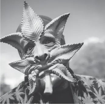  ?? DARRYL DYCK / THE CANADIAN PRESS FILES ?? A man wears a marijuana leaf mask at a 4/20 cannabis culture rally last week in Vancouver.