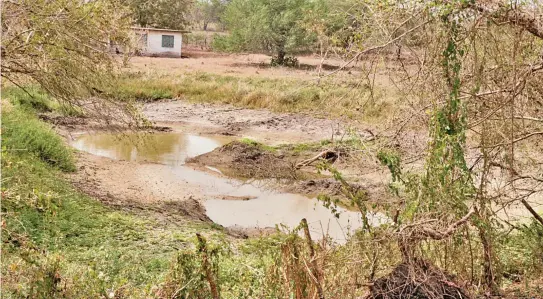  ?? ALFREDO MÁRQUEZ/ EL S OL DE TAMPICO ?? afecta a gran parte del estado de Tamaulipas; las lluvias disminuyer­on 15 por c iento