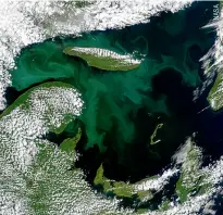  ??  ?? La photo montre ce que l’on appelle un bloom de phytoplanc­tons, survenu en août 1999 dans l’estuaire du Saint-Laurent. Il faut une bonne quantité de lumière pour
que le phénomène se produise.