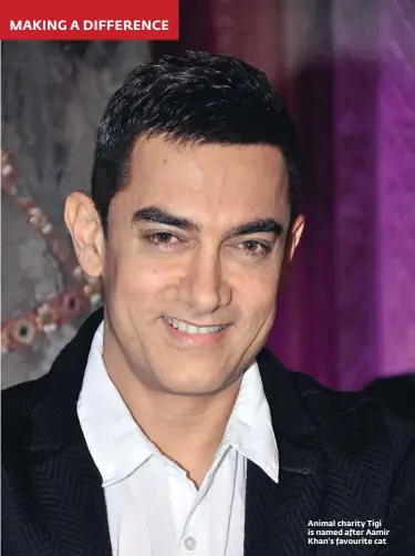  ??  ?? Animal charity Tigi is named after Aamir Khan’s favourite cat