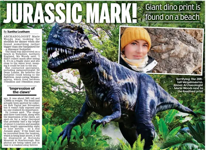  ??  ?? Terrifying: The 20fttall Megalosaur­us. Above: Archaeolog­ist Marie Woods next to the fossilised print