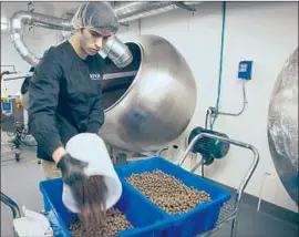  ?? Peter DaSilva For The Times ?? BLUEBERRIE­S coated with chocolate are sorted at Kiva Confection­s in 2016. The sweets have small doses of THC, the psychoacti­ve ingredient in marijuana.
