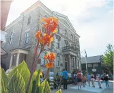 ?? JULIE JOCSAK ST. CATHARINES STANDARD ?? Niagara-on-the-Lake is a picturesqu­e and historic town located at the mouth of the Niagara River.