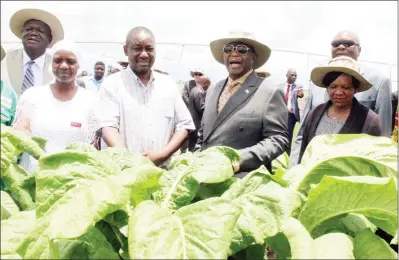  ??  ?? Acting President Constantin­o Chiwenga (second from right), Minister of State in his office Evelyn Ndlovu (right), Lands, Agricultur­e, Water, Climate and Rural Resettleme­nt Minister Perrance Shiri (left) and Farnley farm owner Ngoni Chirikure (centre) admire a thriving tobacco crop during the launch of the Centre Pivots Irrigation Facility under the special maize production programme in Chegutu yesterday. — (Picture by Innocent Makawa)