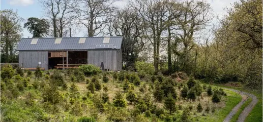  ??  ?? Above: In a tranquil and inspiring spot, Ambrose’s self-built workshop overlooks the rolling landscape of Dartmoor, and sits beside the woodland from where he sources his timber
Left: Having selected a plank of ash, Ambrose draws around a template for a stool seat. ‘When choosing wood, I’m looking for a characterf­ul grain but that is still easy to work. It is important to me that there is not too much wastage, too’
Below: The maker absorbed in his craft