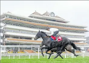  ?? ?? Mister Coffey during the Ladbrokes Gallops Morning
Ref: 46-1821A