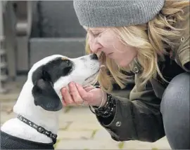  ?? Steven Senne ?? KATE FREDETTE greets Roscoe at their home in Waltham, Mass. Relatively little research has looked at whether humans are any good at understand­ing dogs.