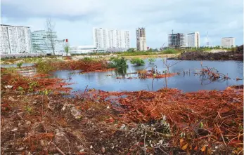  ??  ?? Crece la polémica por la tala del manglar de Tajamar, en Cancún, Quintana Roo. Ahora, sobre qué administra­ción federal es la responsabl­e de otorgar los permisos. Ayer, inspectore­s de la Profepa arribaron para revisar los daños.