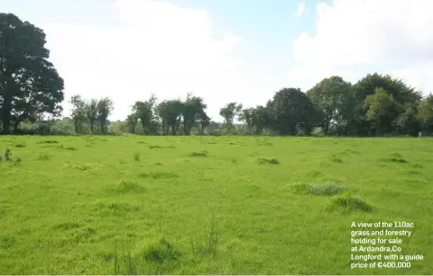  ??  ?? A view of the 110ac grass and forestry holding for sale at Ardandra,Co Longford with a guide price of €400,000