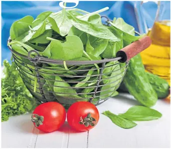  ?? ?? ● Young spinach leaves are easy to grow and taste delicious as part of a salad