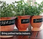  ?? ?? Bring potted herbs indoors