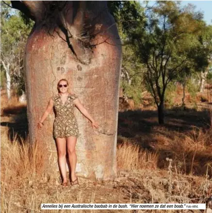  ?? Foto HBVL ?? Annelies bij een Australisc­he baobab in de bush. “Hier noemen ze dat een boab.”