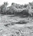  ?? FOTO: VICENTE GUERRERO ?? >El río Sinaloa ya no sería causa para que se den inundacion­es.